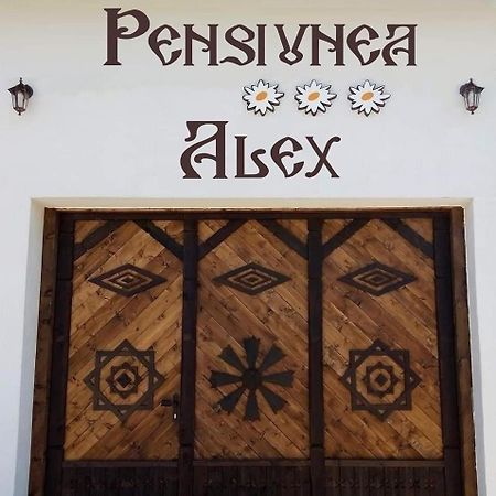 Pensiunea Alex Marga Exterior foto